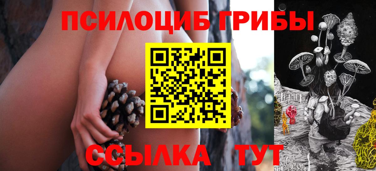 Псилоцибиновые грибы Magic Shrooms  Галлюциногенные грибы GOLDEN TEACHER  Михайловка  Вход с VPN 